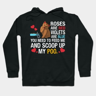 You Need To Feed Me And Scoop Up My Poo Funny Cat Hoodie